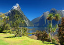 100469 Orte - Milford Sound